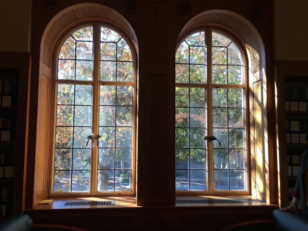 Doheney Library Window