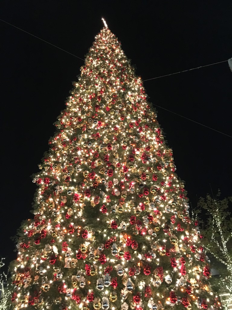 Christmas Tree at the Grove